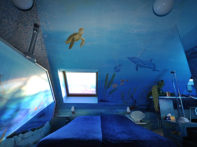 In our theme room ‘the Giant Kelp’ you find yourself in the deep blue depths of the endless ocean.